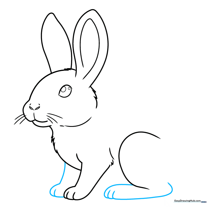 Adding the final leg and foot details to the rabbit sketch.