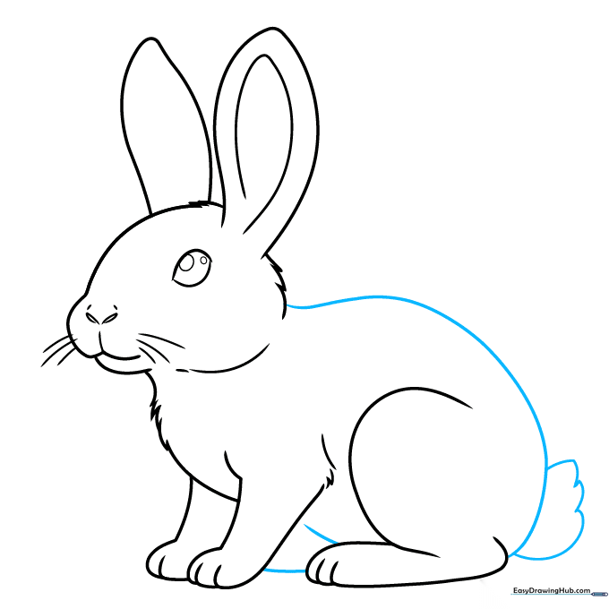 Completing the bunny's back and adding a fluffy tail.