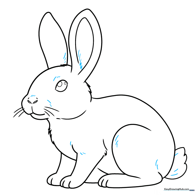 Adding final fur texture strokes to the completed rabbit outline.