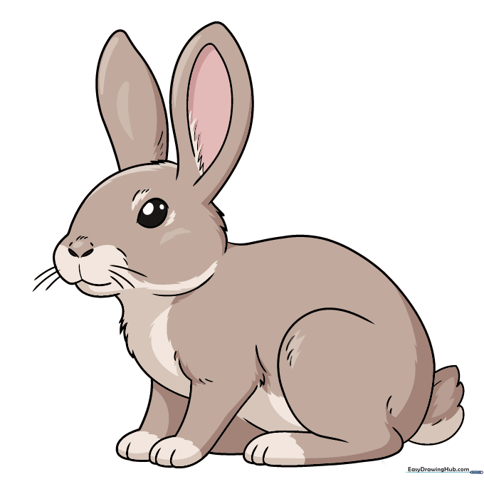 A finished, colored realistic bunny drawing.