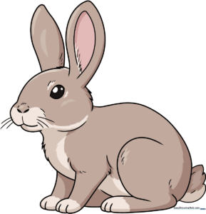 A finished, colored realistic bunny drawing on a clean background.