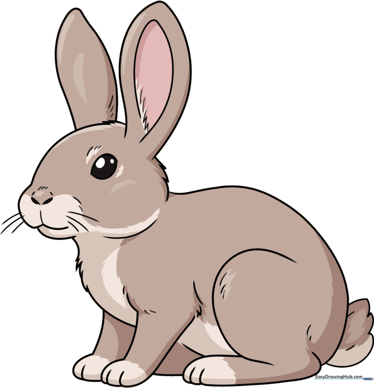 A finished, colored realistic bunny drawing on a clean background.