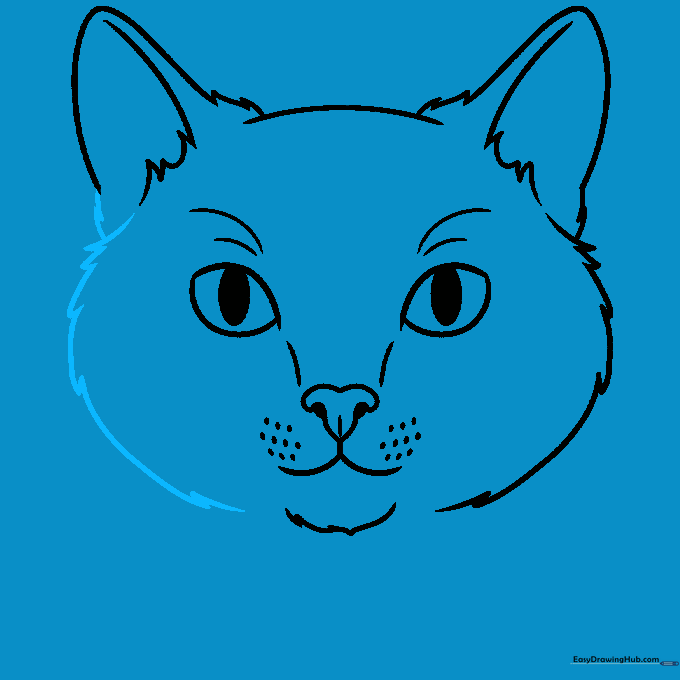 Sketch showing the left side of the cat's face completed with matching fur texture.