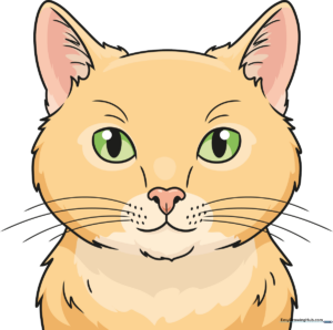 A vibrant, finished illustration of a realistic cat face, showcasing the final result of the tutorial.