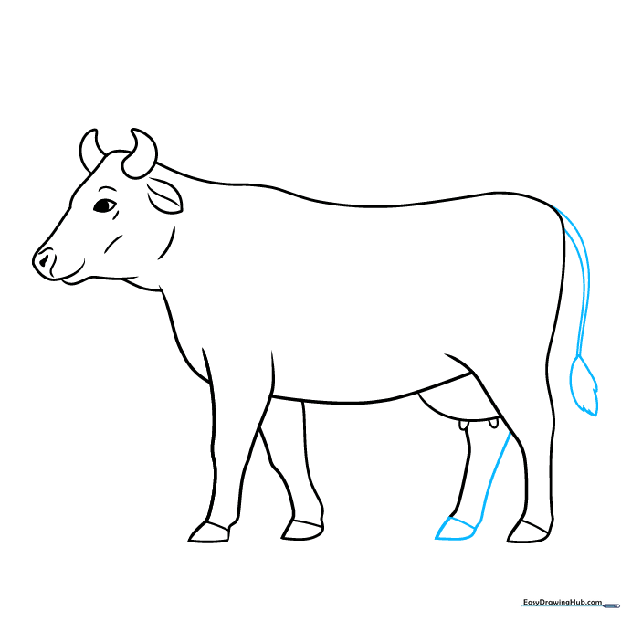 Drawing the cow's tail and final leg details.