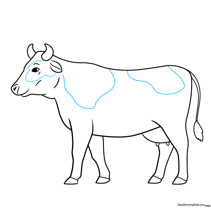 Adding large spots to the cow's body.