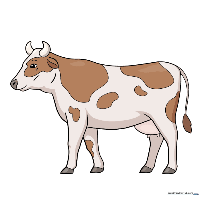 A finished, colored realistic cow drawing.