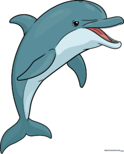A beautiful, finished realistic dolphin drawing, perfect for art projects.