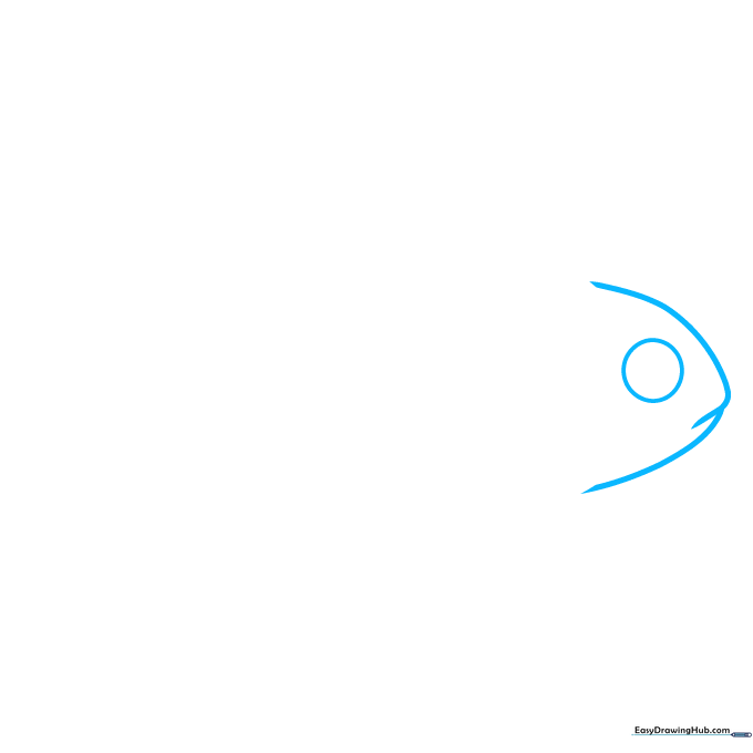 Pencil sketch showing the initial outline of a goldfish head and a large circular eye.