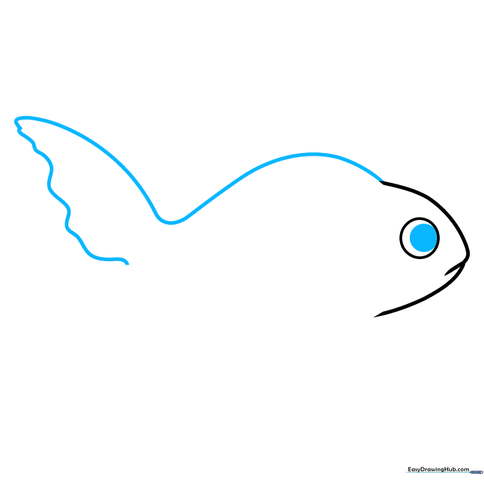 Drawing the goldfish's arched back and wavy tail fin with a defined pupil in the eye.