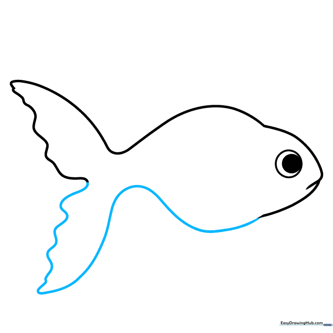 The completed outline of the goldfish body connecting the head, belly, and tail.