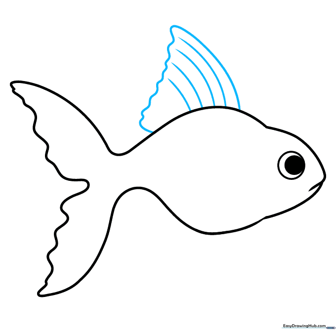 Adding a textured dorsal fin to the top of the goldfish's back.