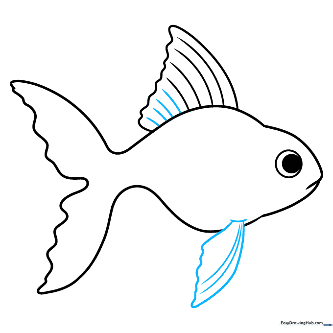 Sketching the ventral fin on the lower belly of the fish with added texture lines.
