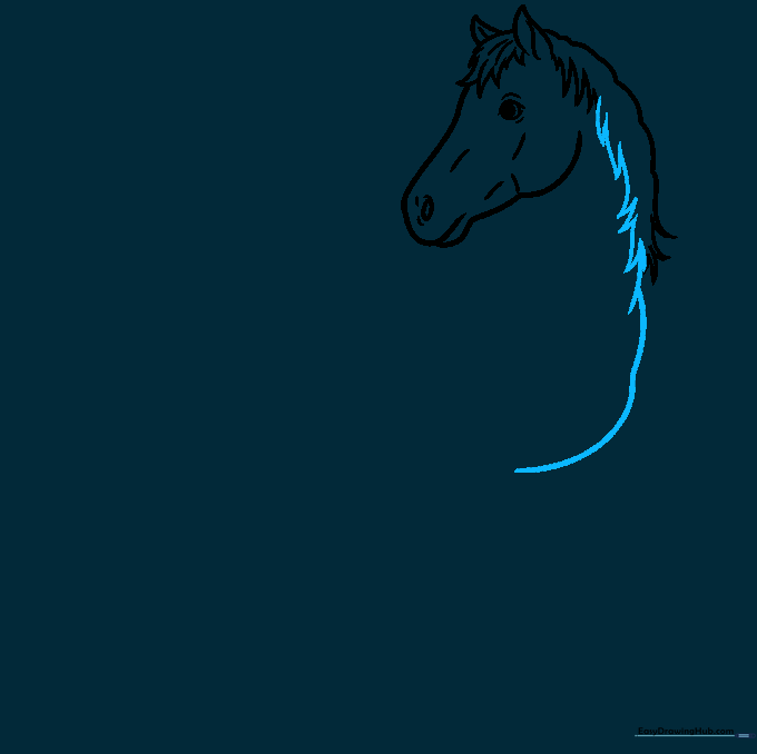 Sketching the long, curved line of the horse's back.