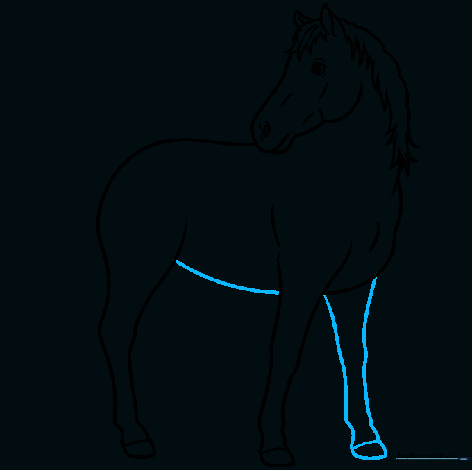 Sketching the belly and the second front leg for depth.