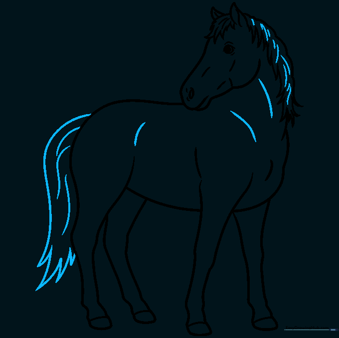 Adding the tail and final texture lines to the horse drawing.