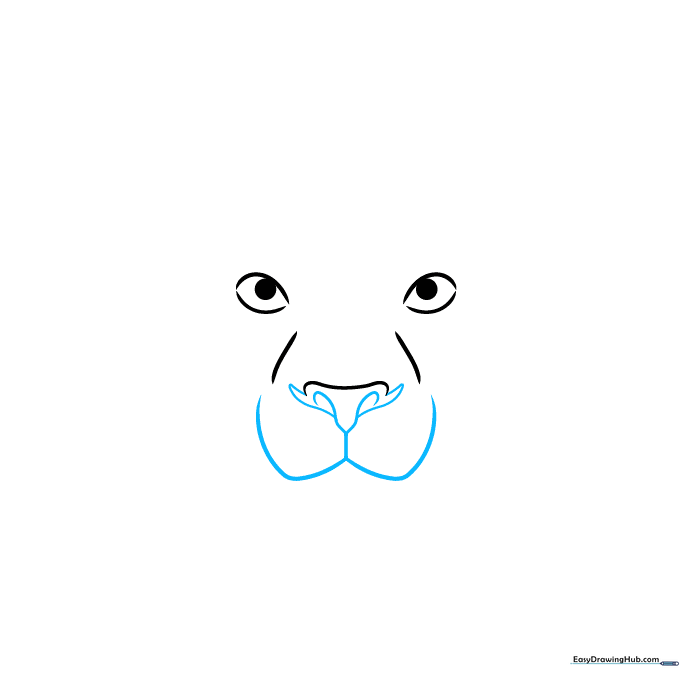 Pencil sketch showing the lion's nose pad and the beginning of the mouth line.