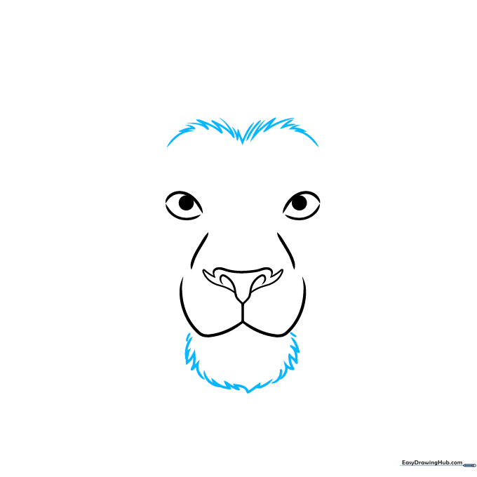 Drawing the lion's jawline using jagged, fur-like pencil strokes.