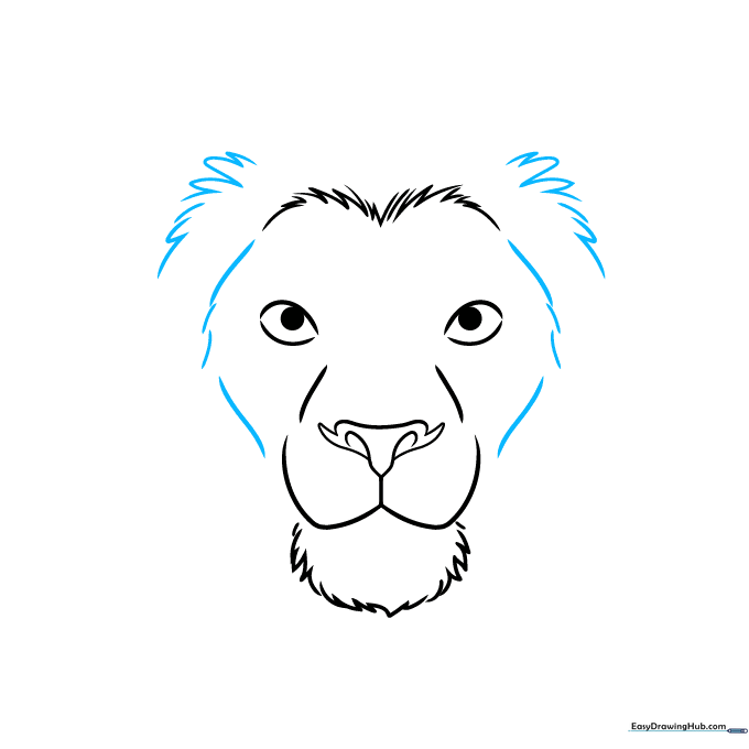 Adding structure to the lion's face and starting the mane with jagged lines.
