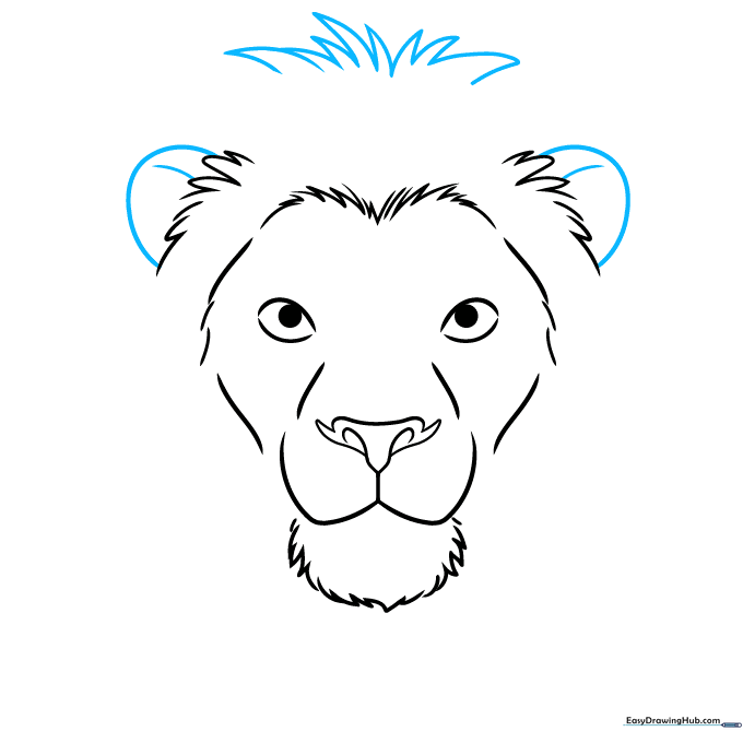 Sketching the lion's ears and expanding the mane with jagged pencil lines.