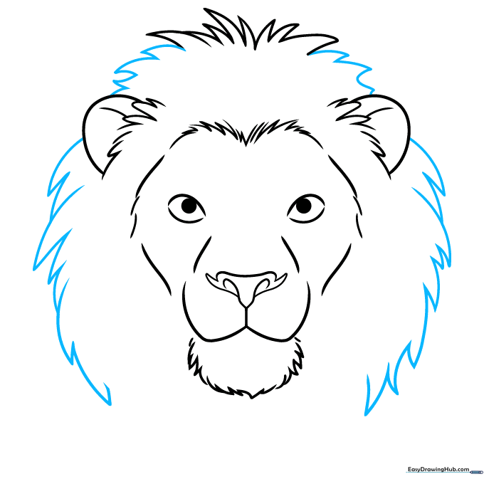 Adding volume to the lion's mane with overlapping jagged lines.