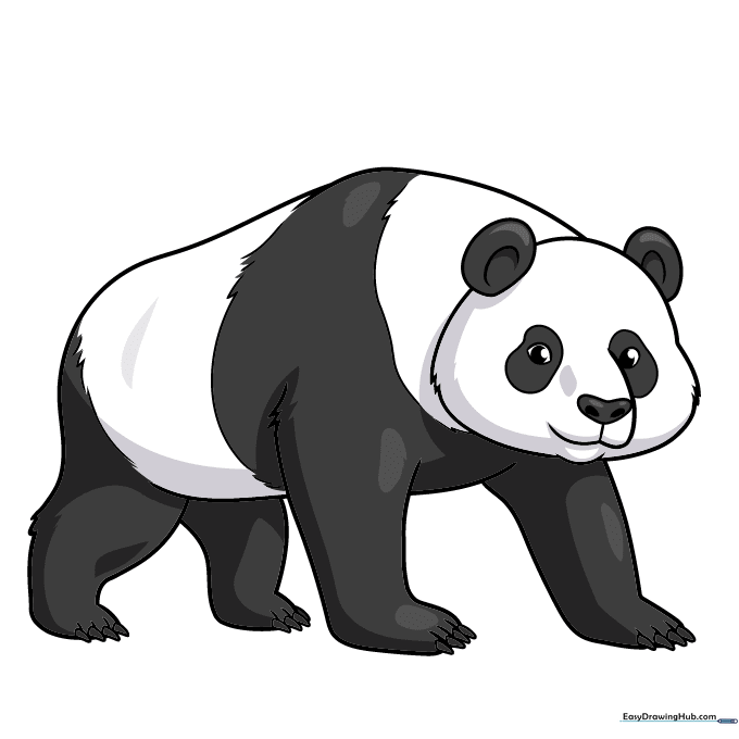 The finished panda drawing, colored with classic black and white markings.