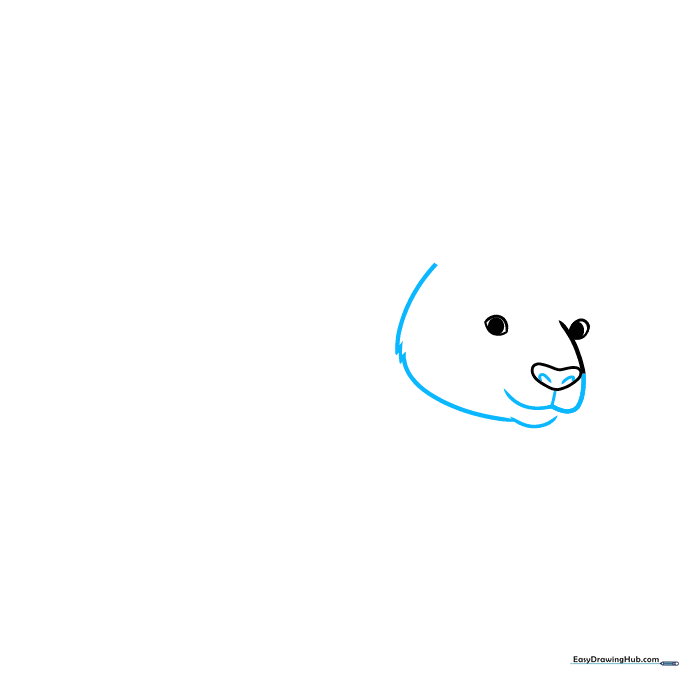 Drawing the panda's snout and furry head outline using jagged, short pencil strokes.