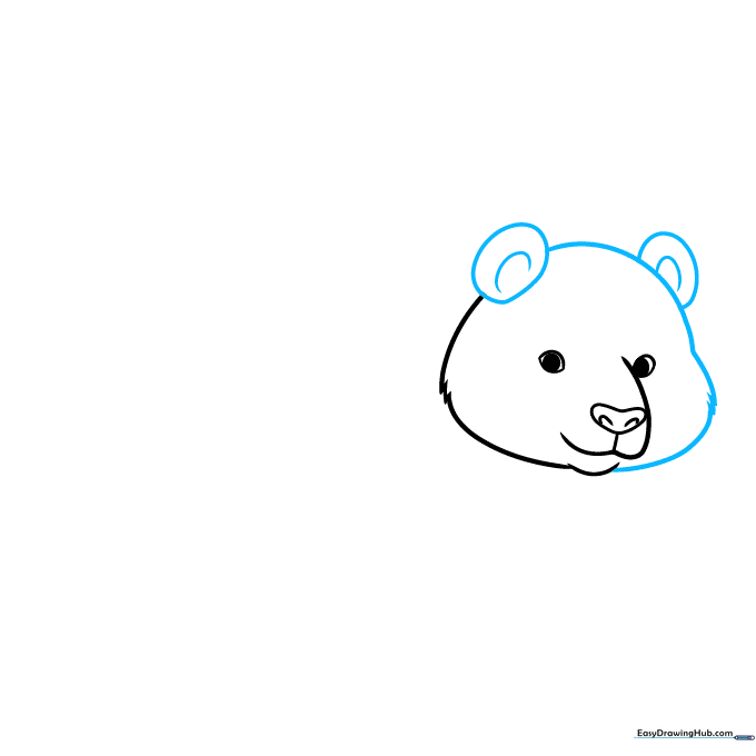 Adding rounded ears to the top of the panda's head with interior contour lines.