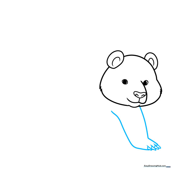 Drawing the panda's front leg with claw details at the base.