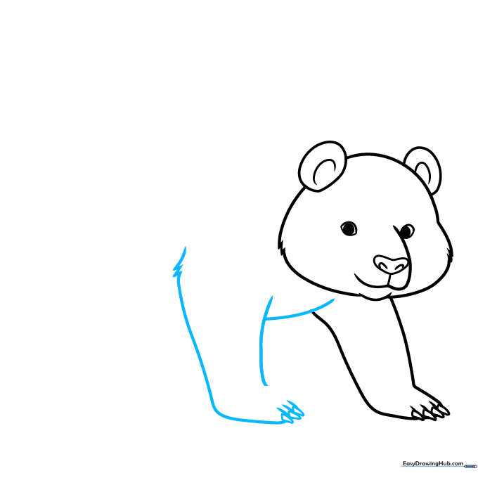 Adding the second front leg with fur texture details near the shoulder.