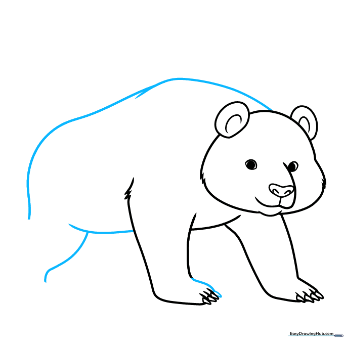 Outlining the panda's back and belly to establish the body shape.