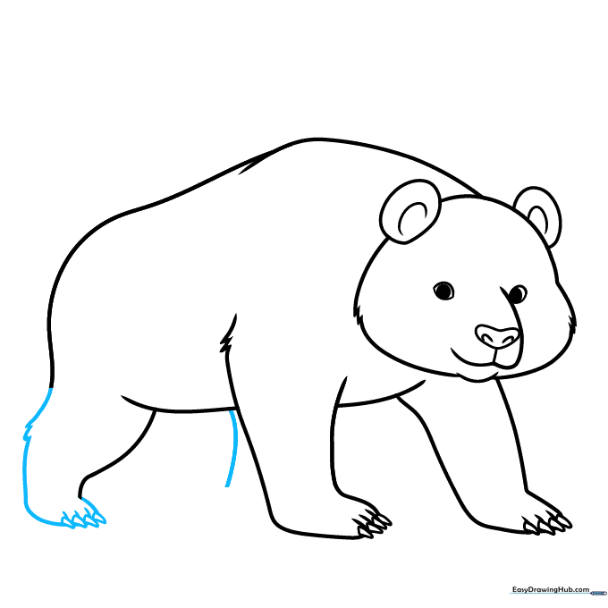 Adding the panda's rear legs with claw details.