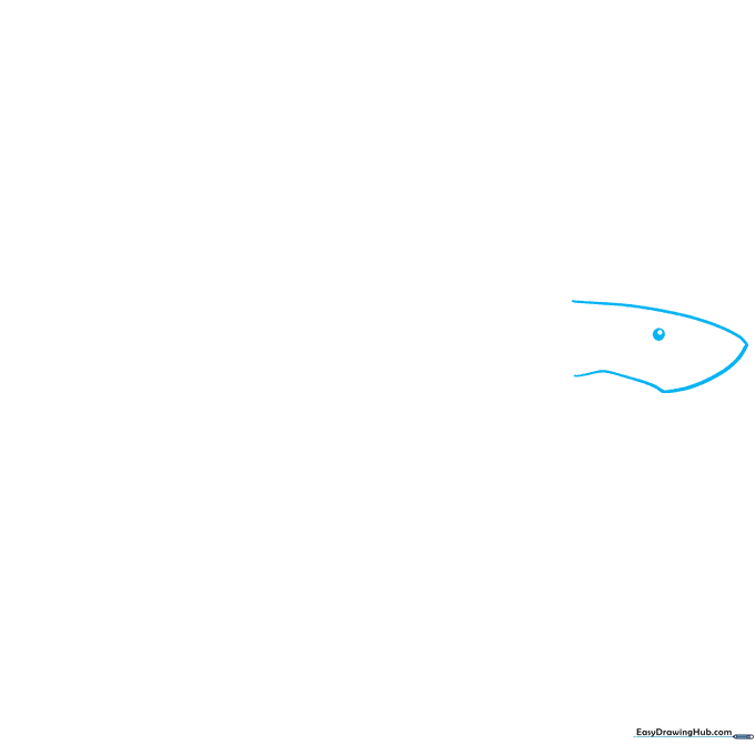 Pencil sketch showing a triangle snout and a circular eye for a shark drawing.