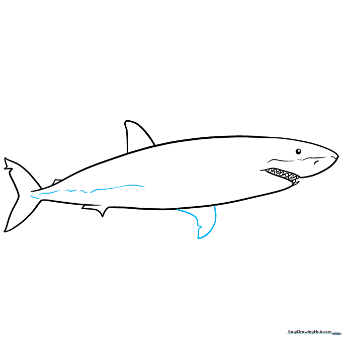 Adding detail to the shark's tail and caudal peduncle.