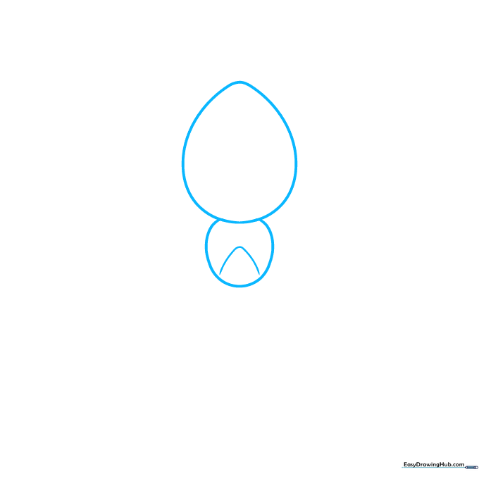 Pencil sketch showing the two main body segments of a spider: an oval abdomen and a rounded thorax.