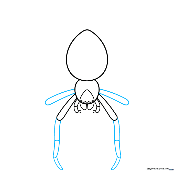 Sketch showing the extension of spider legs with joint markers added as small horizontal lines.