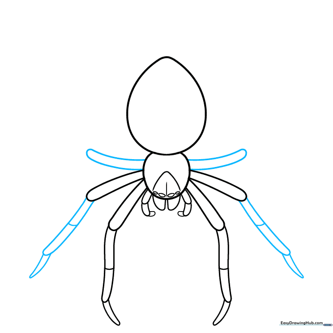 Sketch showing the addition of the third pair of spider legs extending from the thorax.