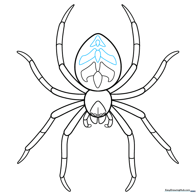 Sketch showing the completed pattern on the spider's abdomen.