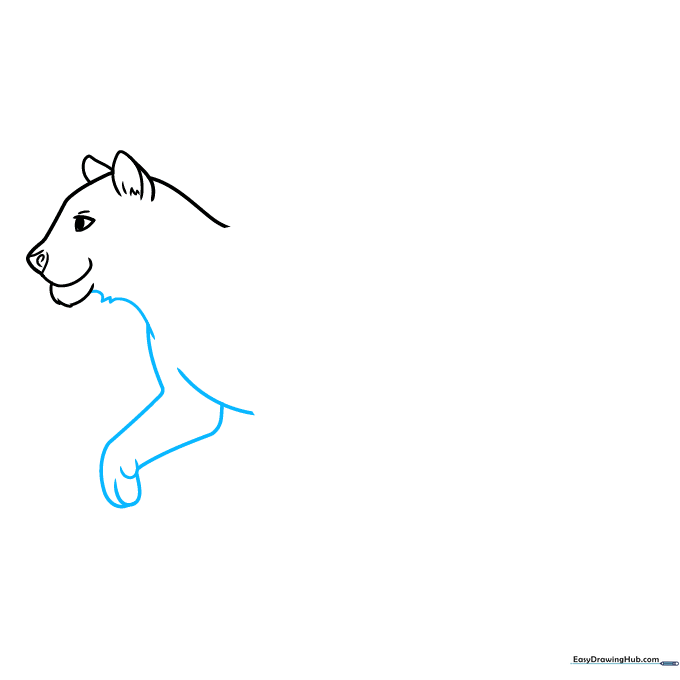 Outline of a tiger's neck, chest, and front leg in a standing position.