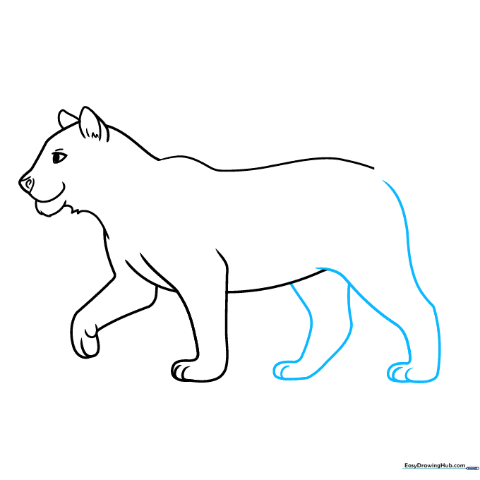 Sketching the hind legs of the tiger to complete the body outline.