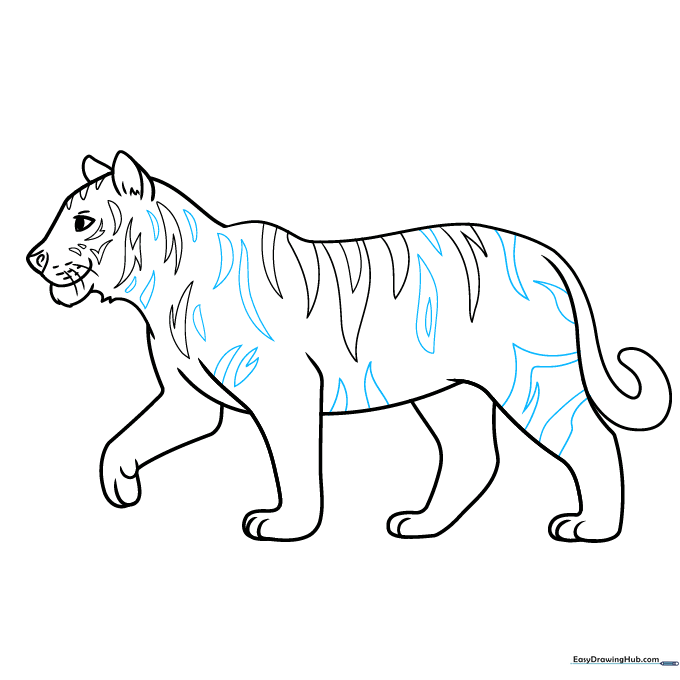 Adding additional stripes to the tiger's back and belly.