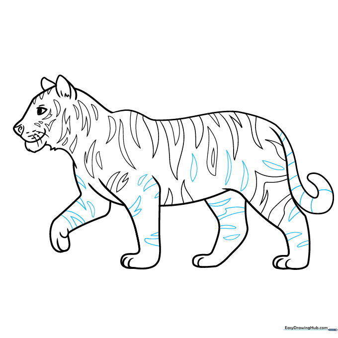 Completed tiger outline with all stripes and tail bands added.