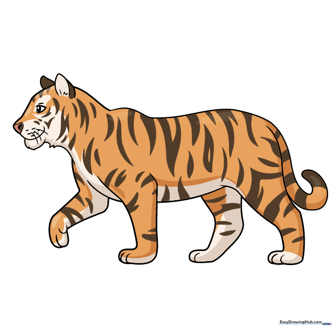 A fully colored, realistic tiger drawing with orange fur and black stripes.