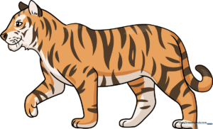 A finished, high-quality realistic tiger drawing, showcasing the final result of the tutorial.
