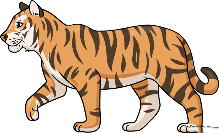 A finished, high-quality realistic tiger drawing, showcasing the final result of the tutorial.