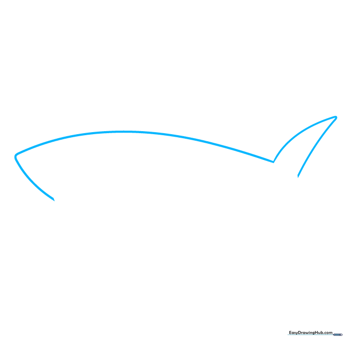 Pencil sketch showing the curved back and nose outline of a cartoon shark.