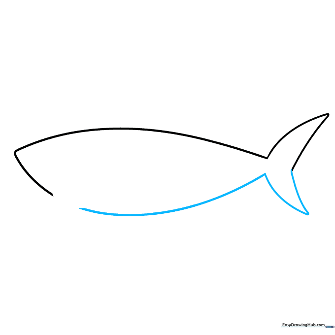 Drawing the shark's tail and belly outline with smooth curved lines.