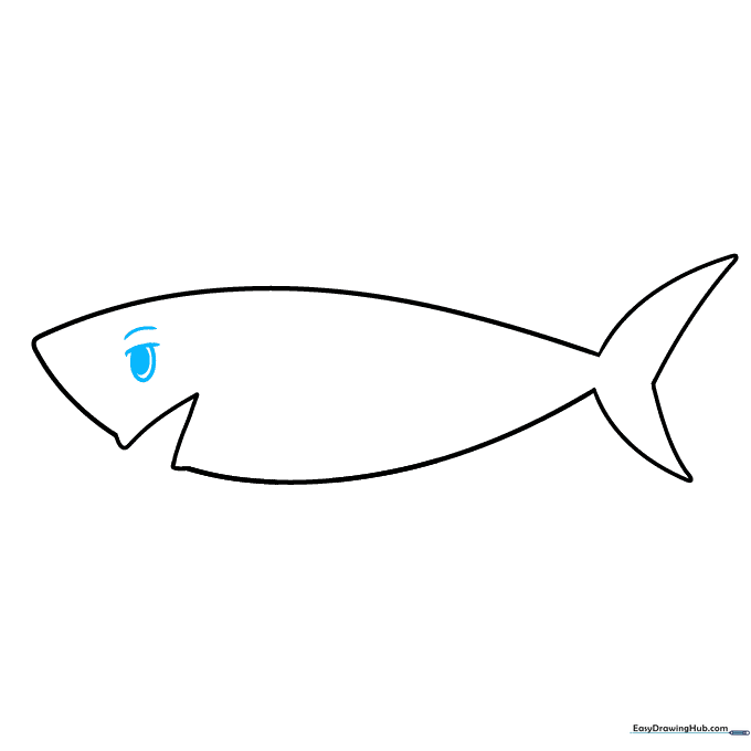 Adding a detailed eye with a ridge and pupil to the shark's head.