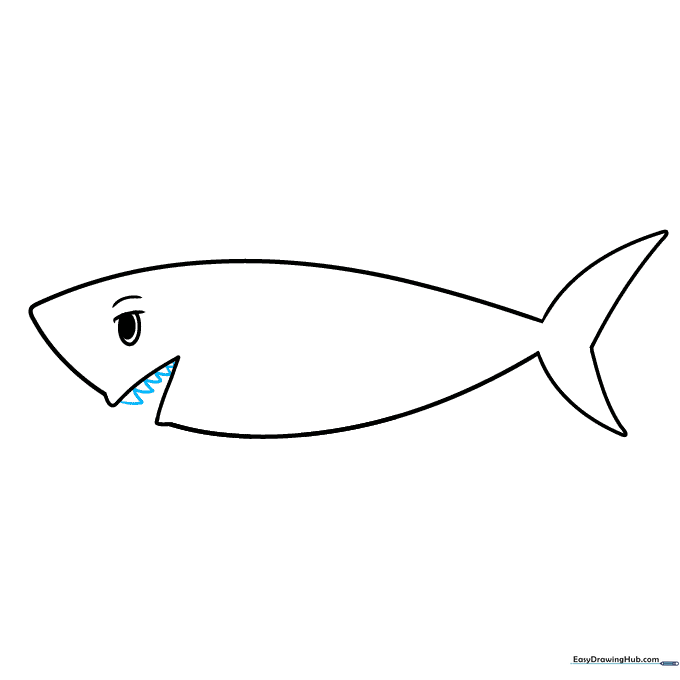 Drawing triangular teeth along the top jaw of the shark.