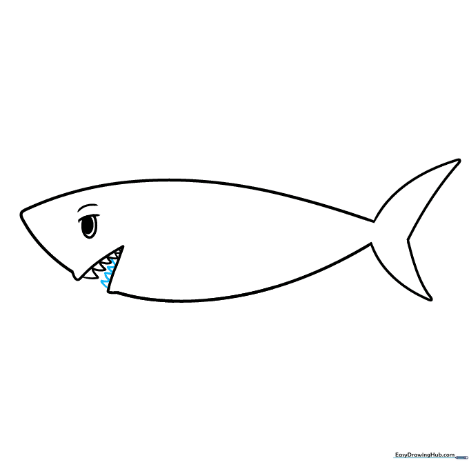 Adding triangular teeth to the bottom jaw of the shark.